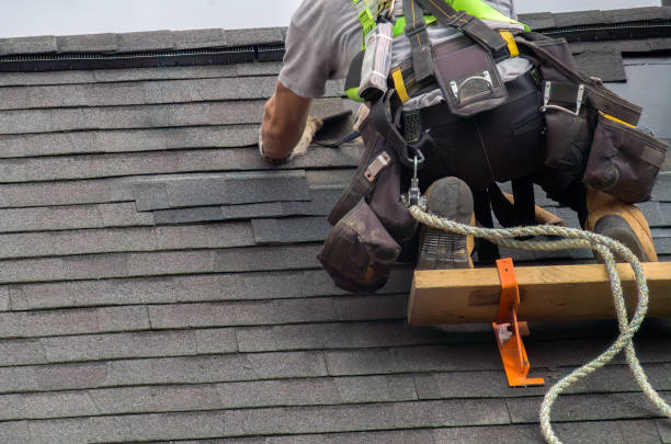 Professional Roofing Contractor in North Lynnwood, WA