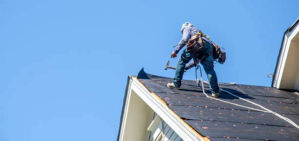 Best Roof Gutter Cleaning  in North Lynnwood, WA